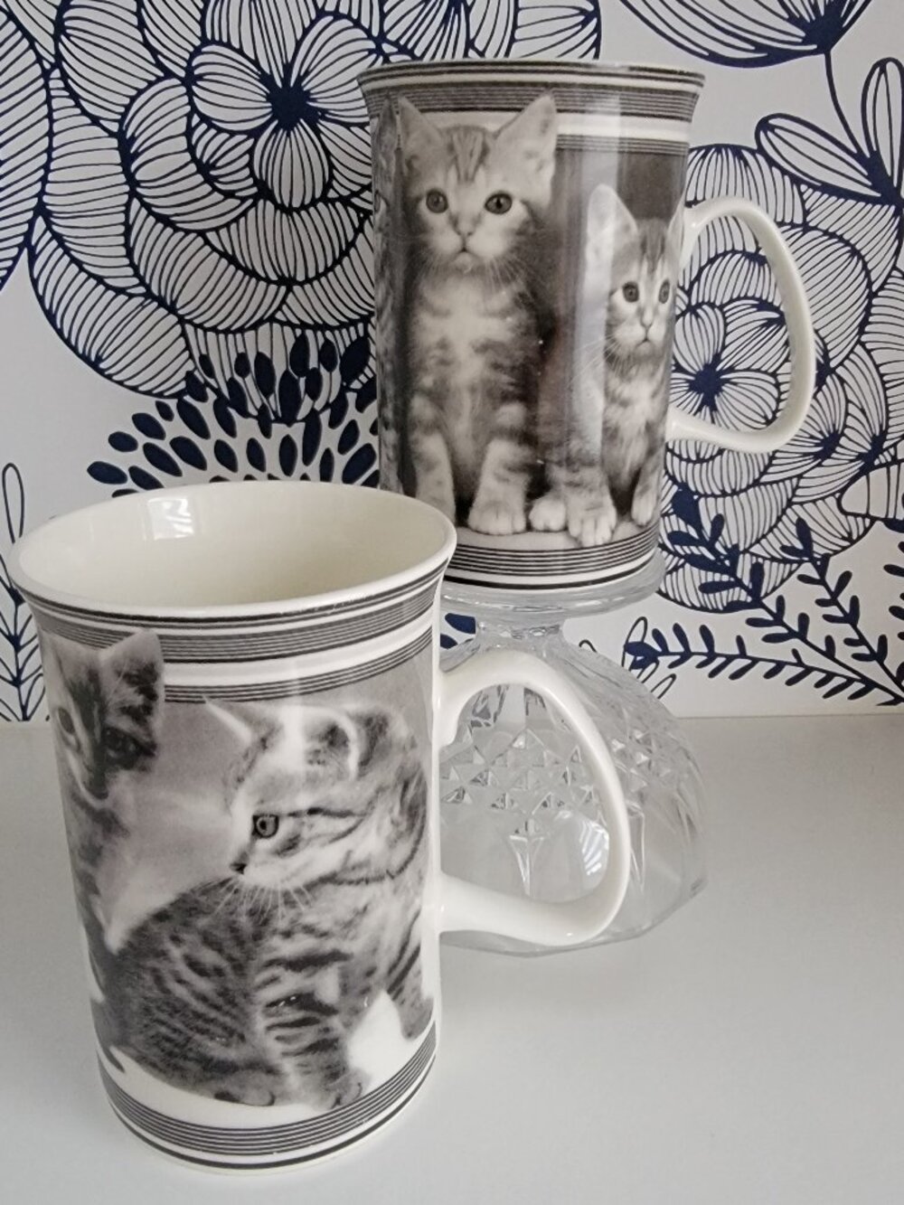 2 mugs; kittens, black and white, animal lovers